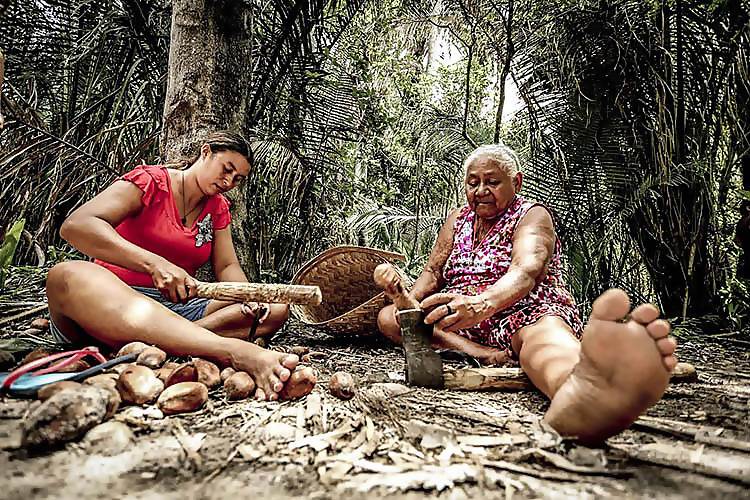 quebradeira de coco